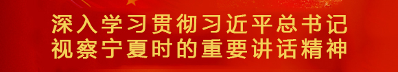 深入學(xué)習(xí)貫徹習(xí)近平總書記 視察寧夏時的重要講話精神